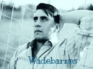 Wadebarnes