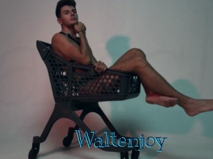 Waltenjoy