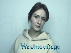 Whitneyfigge