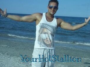 YourHotStallion