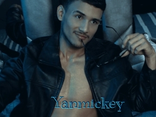 yanmickey Archive DVD BIZ
