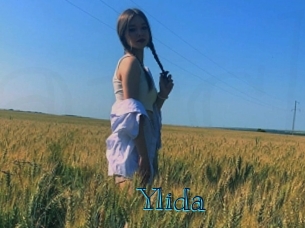 Ylida