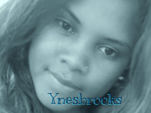 Ynesbrooks