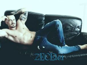 ZECElei