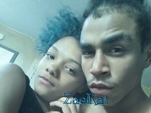 ZaeKai Archive DVD BIZ