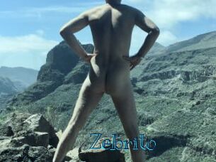 Zebrito