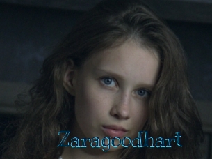 Zaragoodhart