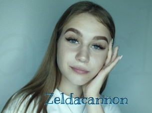 Zeldacannon