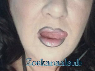 Zoekanaalsub