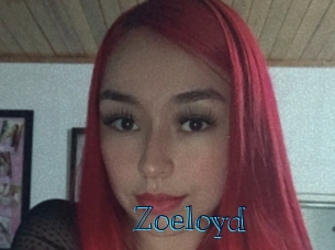 zoeloyd Archive DVD BIZ