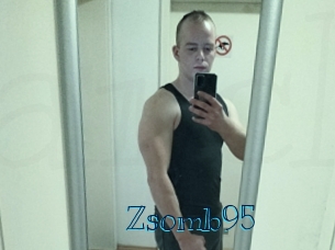 Zsomb95